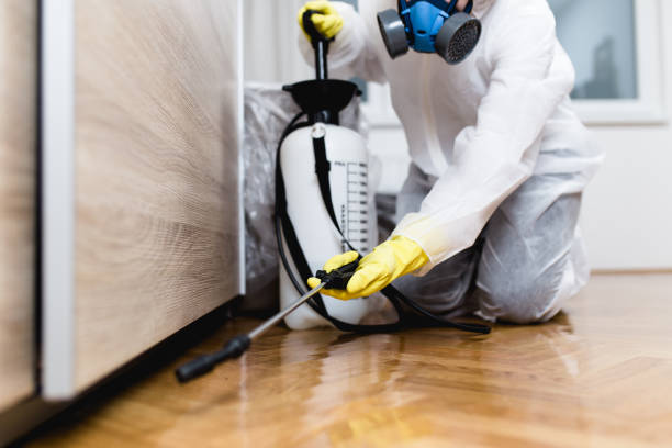 Best Pest Control Near Me  in Stinnett, TX