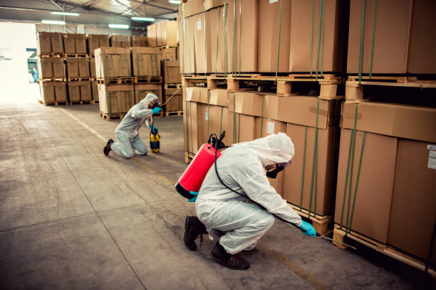 Best Pest Inspection Near Me  in Stinnett, TX