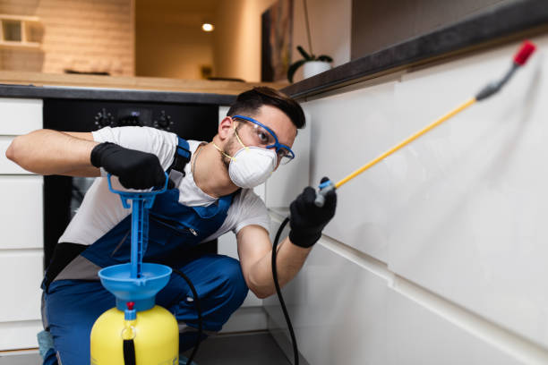 Best Mosquito Control Services  in Stinnett, TX