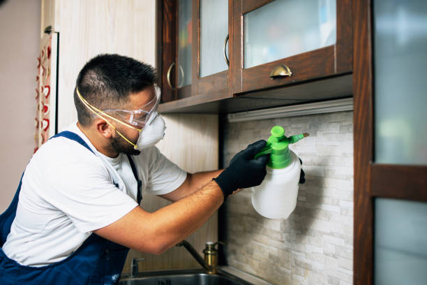 Best Best Pest Control Companies  in Stinnett, TX