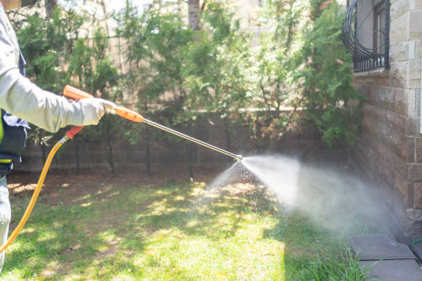 Best Residential Pest Control  in Stinnett, TX