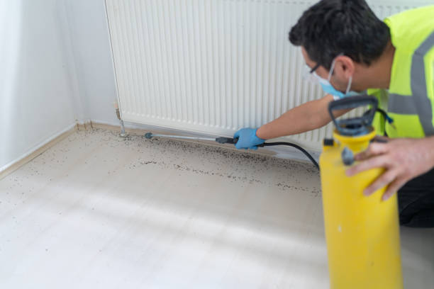 Best Pest Control Near Me  in Stinnett, TX