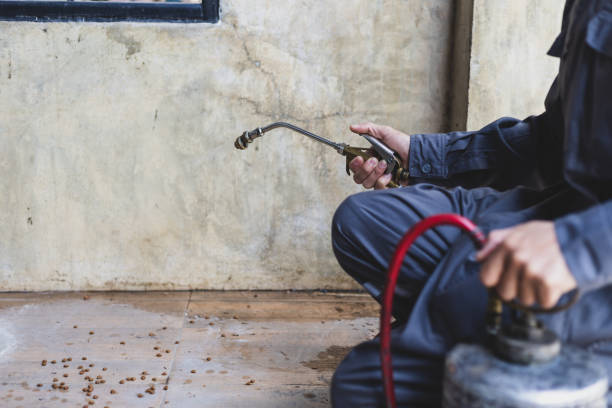 Best Emergency Pest Control  in Stinnett, TX